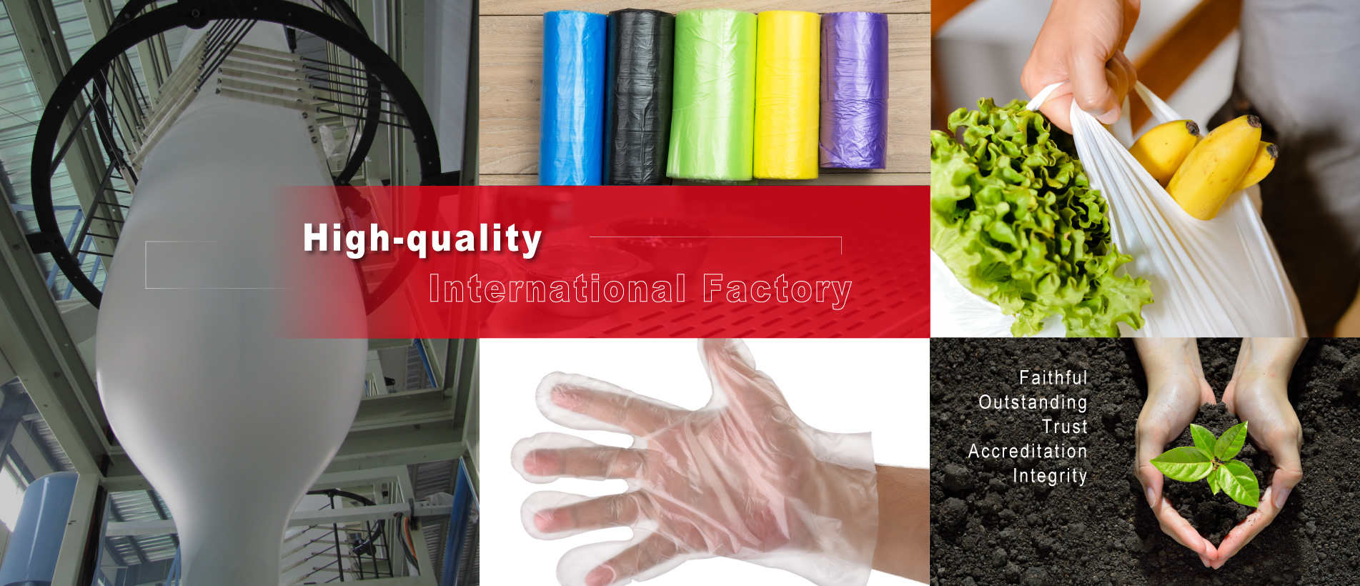 佛泰_BN.jpg 佛泰_BN.jpg