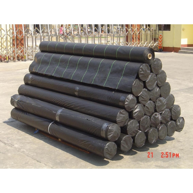 Ground Cover-1.jpg Ground Cover-1.jpg