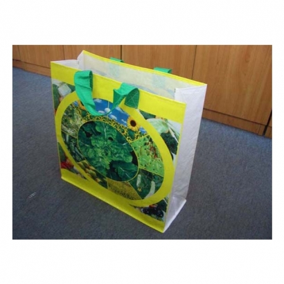 PP woven shopping bag-2.JPG