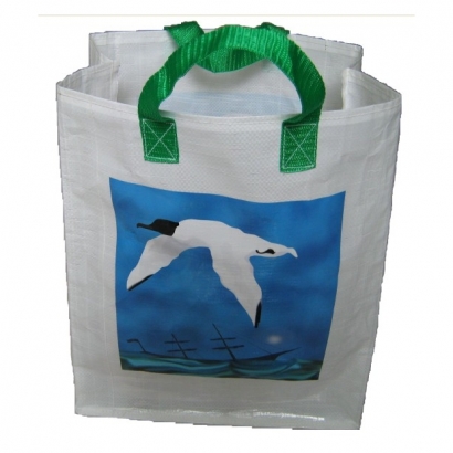 PP woven shopping bag-3.jpg